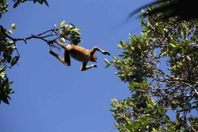 Free your mind, let go to fly.